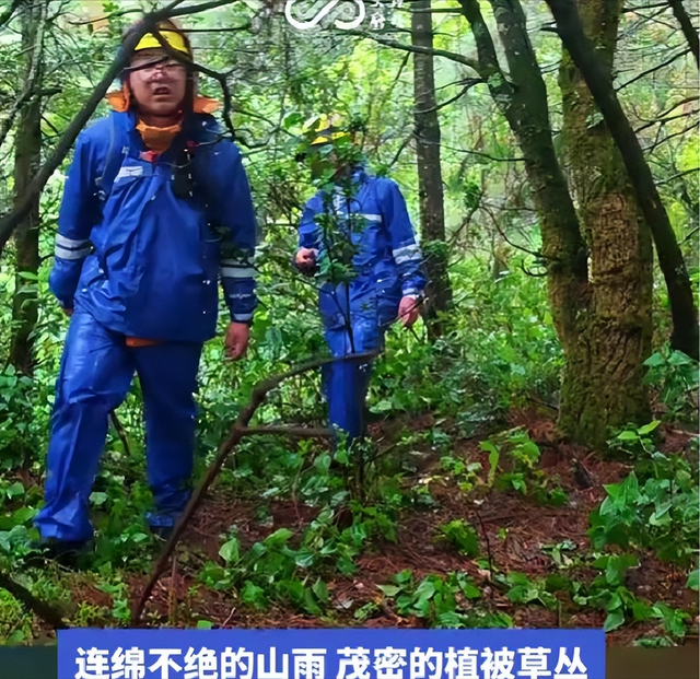 失踪自闭儿遗体已找到，救援队曝光死因，生前饱受痛苦，官方通报