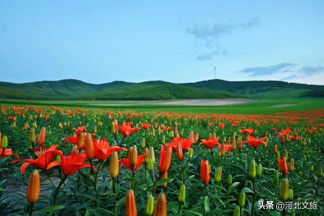 喜报|我市新增4家3A级旅游景区