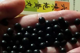 长期吃“六味地黄丸”的人，身体会如何？医生：5大变化等着他图片