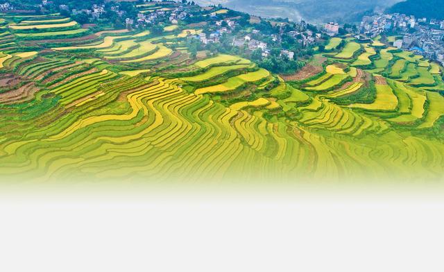 广西隆林县历史沿革及行政区划