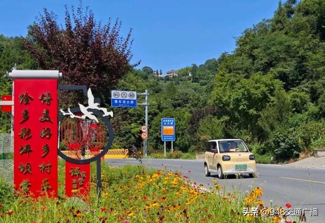 一路清凉！沿着249省道解锁19℃的夏天