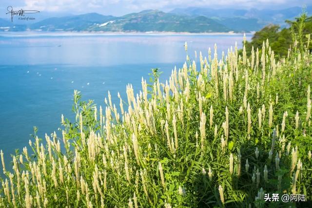摩旅穿越苍南黄金海岸线，专找没有观景平台的角落观景，三沙真美