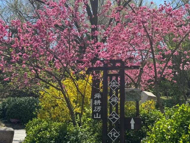地理冷知识——千佛山