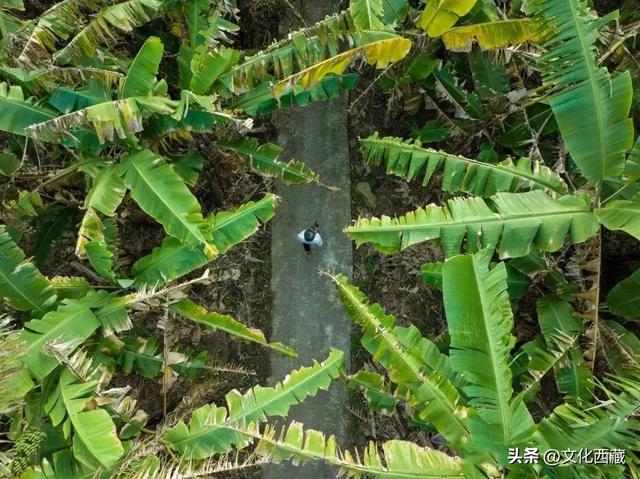 这个中国最后一个通公路的县城！凭什么成为无数人的此生必去？