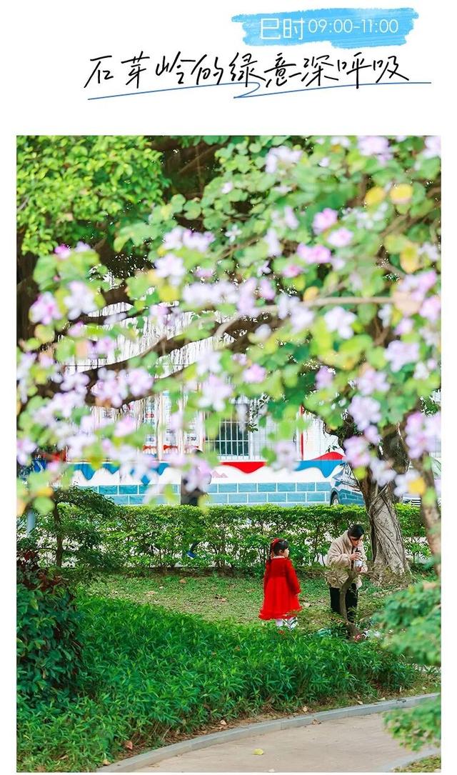 “趣龙岗”打卡新地标！全城玩咖速集结→