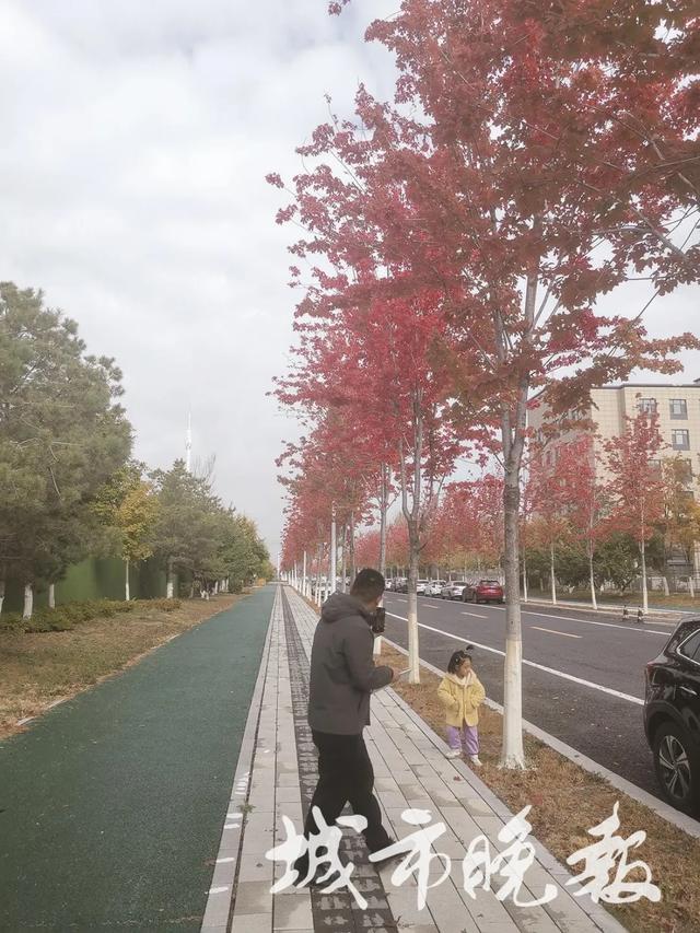 长春这里,太出片了!