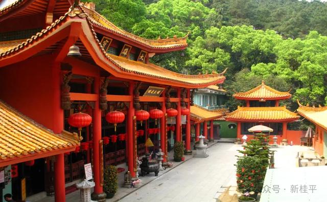 桂平半程马拉松选手看过来！文旅福利已就位，三大景点等你打卡～