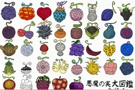 海贼王，一文看完出现的13颗自然系恶魔果实，可惜现在不如动物系图片