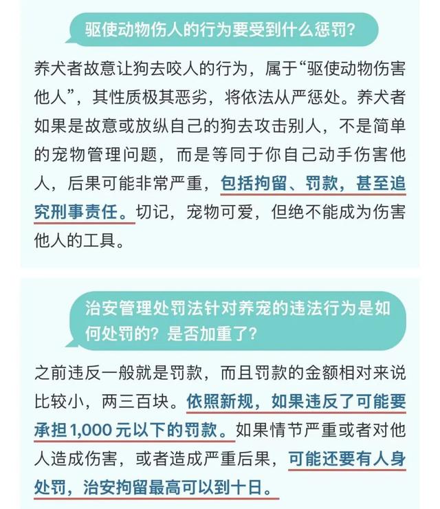 “史上最严”！最高拘10天罚1000元，1月1日起正式实施，网友：希望张贴到每个小区