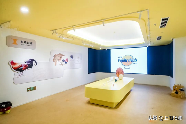 杨浦这些景点“限时优惠”，你去过几家？