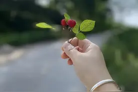 暑假团聚变惊魂！妻子带娃千里寻夫，竟遭遇“人间蒸发“图片