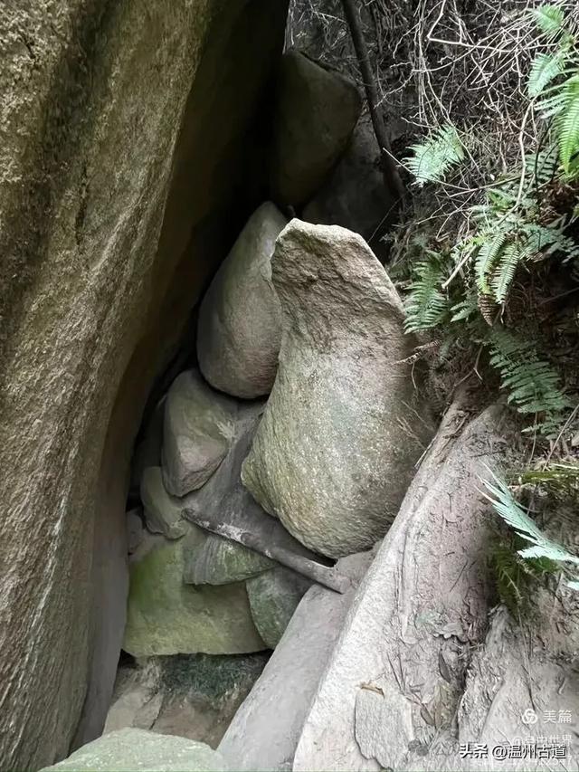 一步一景，奇石不断！温州这处奇石纷呈的的免费景区你可去过？