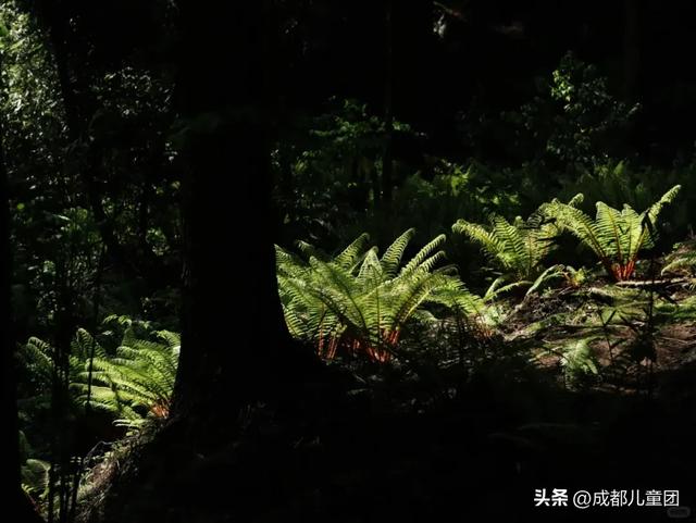 成都气温冲40°C！这3个小众耍水的好地方，比空调房安逸