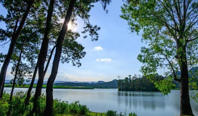 贵州这回真要起飞了！被国家 “点名”，即将代表中国走向世界！