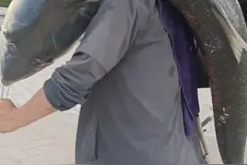 湖北男子钓获“巨型”鱤鱼，近2米重约60斤，不坐车扛着鱼慢慢走图片