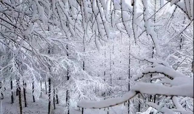 陇南，在冰瀑与雪野之间。
