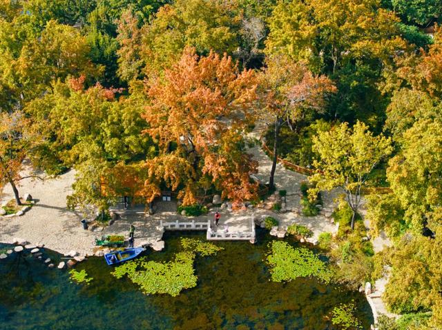 报!天平山红枫已进入变色期