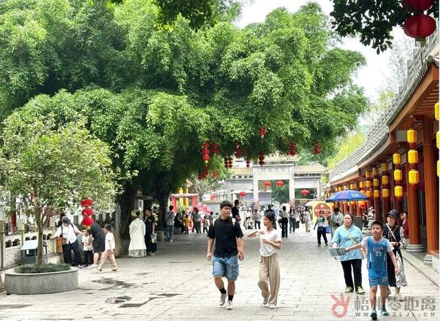 “活力大湾区，魅力新广州”来梧州旅游的大湾区小伙伴都在刷这句？原来是因为……