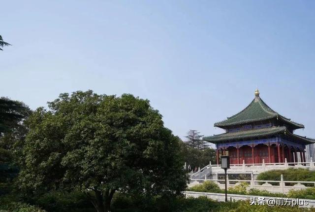 碑林区秋色渐浓 红枫银杏绘就诗意画卷
