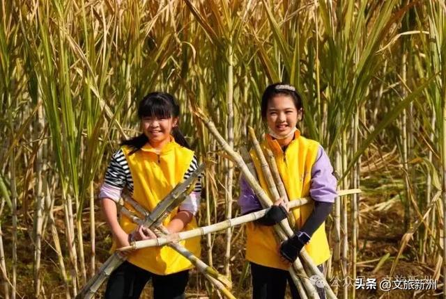 收藏秋日宝藏学玩地图!趣游新洲,为知识充“秋”电