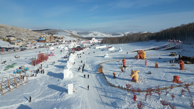 牙克石：大雪节气至 雪域盛景开