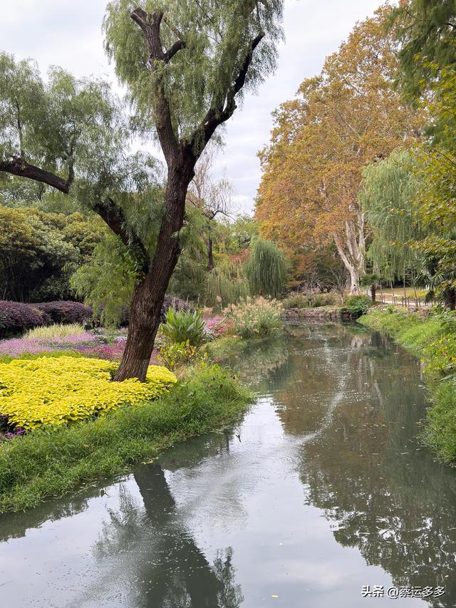 上海动物园的高颜值图鉴