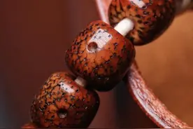 包浆后，堪称“颜值天花板”的10个文玩，最后一个，你见都没见过图片