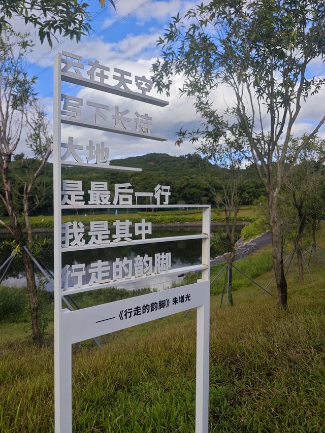 西丽湖绿道，慢慢骑慢慢地欣赏。