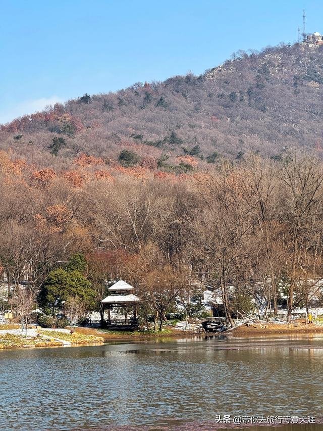 南京2026年第一场雪，梅花山、琵琶湖雪景