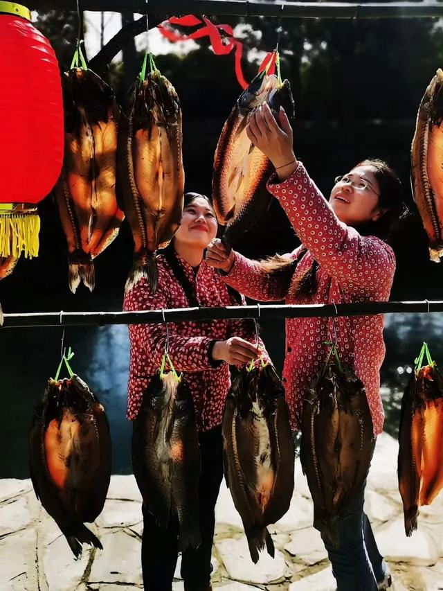 最长春节假期来黄陂！9天撒欢不重样