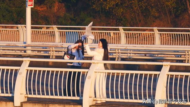 2026，从滇池的第一缕阳光开始