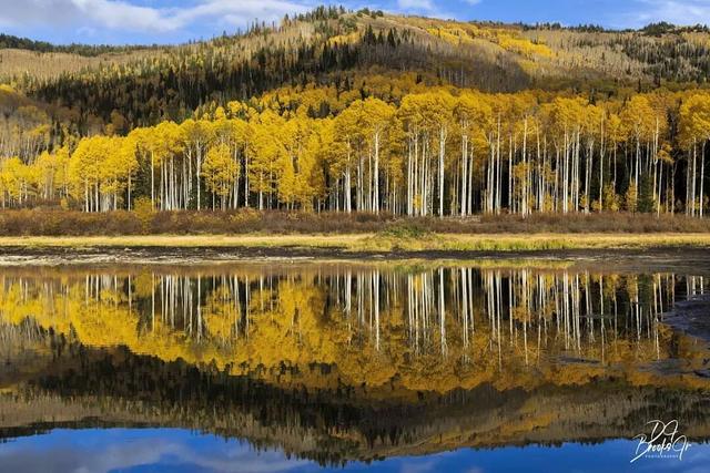 秋天的色彩，染在树上，也映在了水里