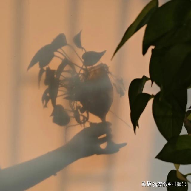 8月，「渴望自由，像治不好的病」
