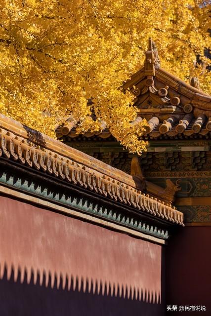 故宫这处十年一见的地方，你见过吗？
