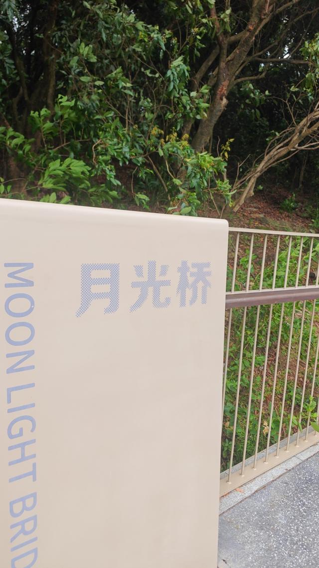 西丽湖国际科教城绿道高清随拍