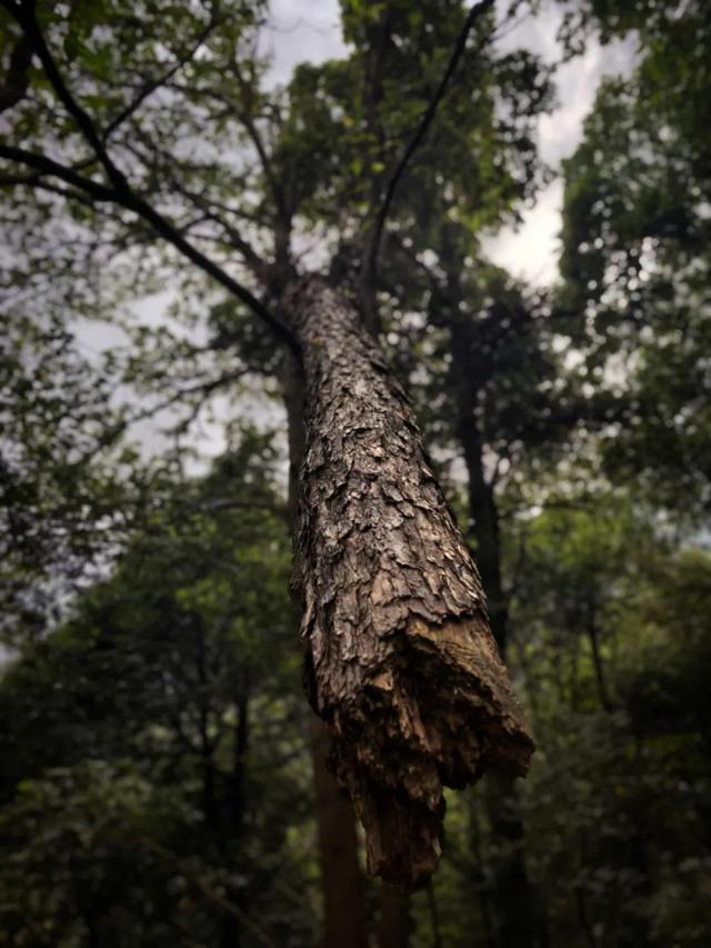 为什么越来越多的人喜欢爬山了?