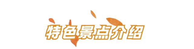 周五宠粉日|国庆赏秋,快收藏这份上海Citywalk指南,更有豫园门票等你来领!