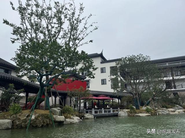 东坡又一个文旅新场景即将亮相→