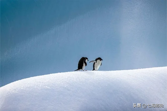 33天半环南极大陆 南极半岛罗斯海 所到之处不常规航行在地图的边界