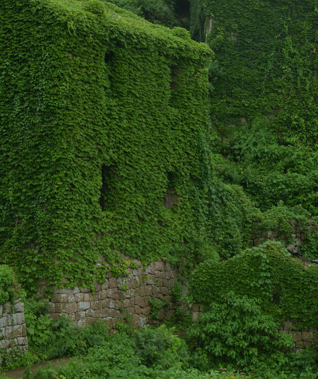 从你的全世界路过81：墟村浮光