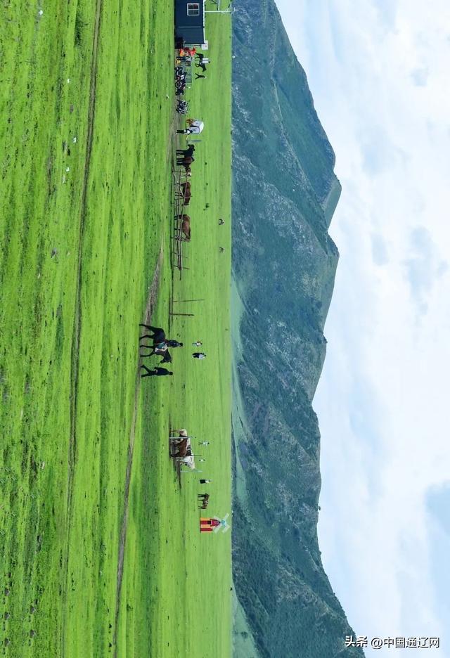 夏天，请到山地草原来
