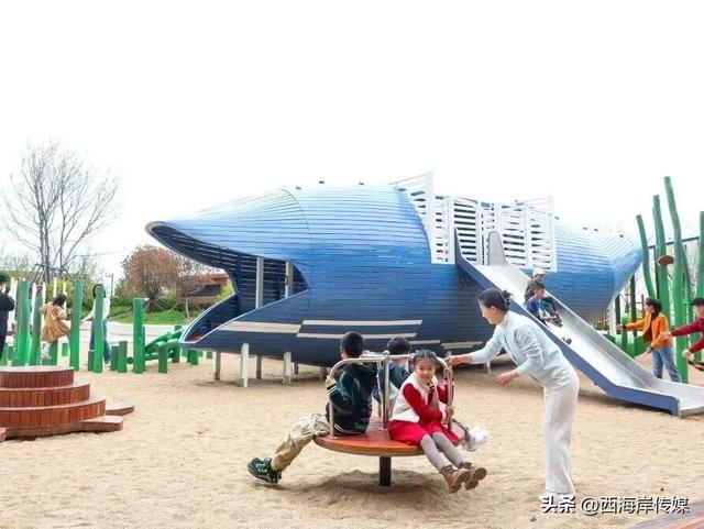 秋色渐浓，正是奔赴红树林的最佳时光！