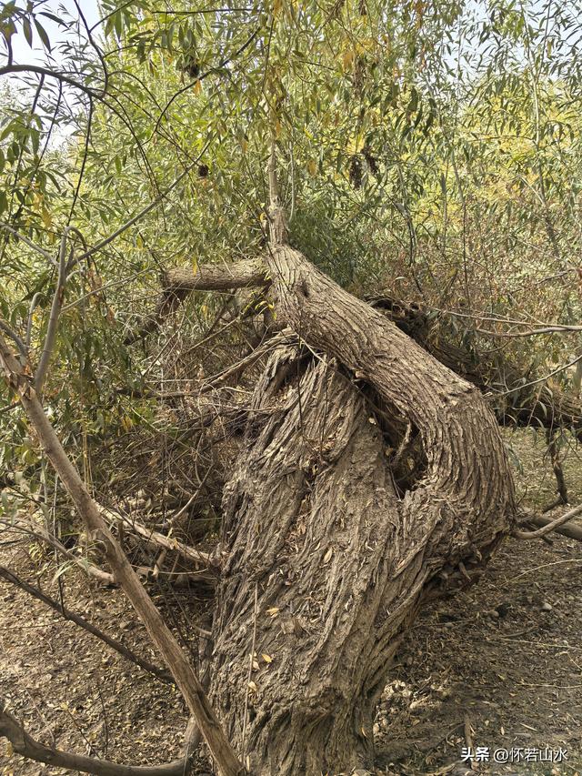 2025环南疆沙漠铁路背包自由行日记(3)---新藏公路零起点叶城打卡