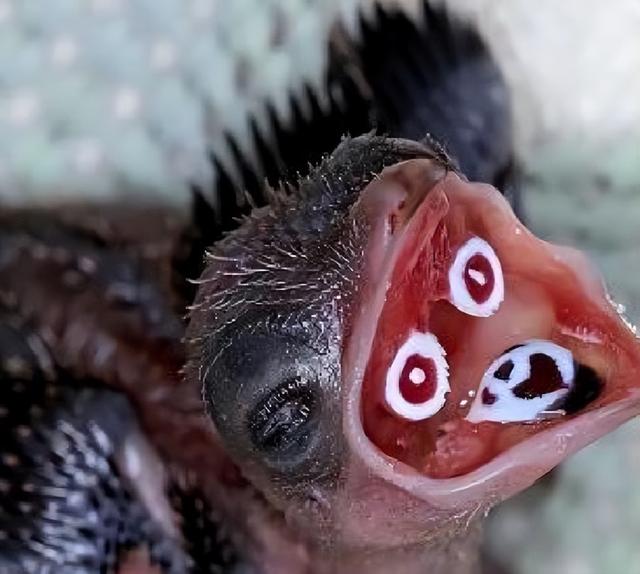 日军兽行：当着男人的面玷污了女儿，临走还残忍割下妻子乳房