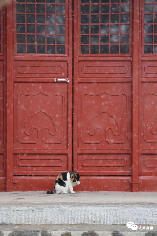 北京下雪҉҉҈ 雪҉҉҈ 雪҉҉҈ 啦！！雪落房山，邀你来看！