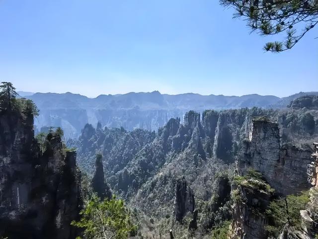 游客量翻倍还多！张家界用一场赛事赚500亿，转型密码藏在哪？