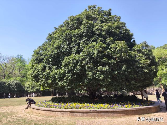 探秘钟山灵谷寺，六朝千年古刹，明太祖为修陵园迁建于此