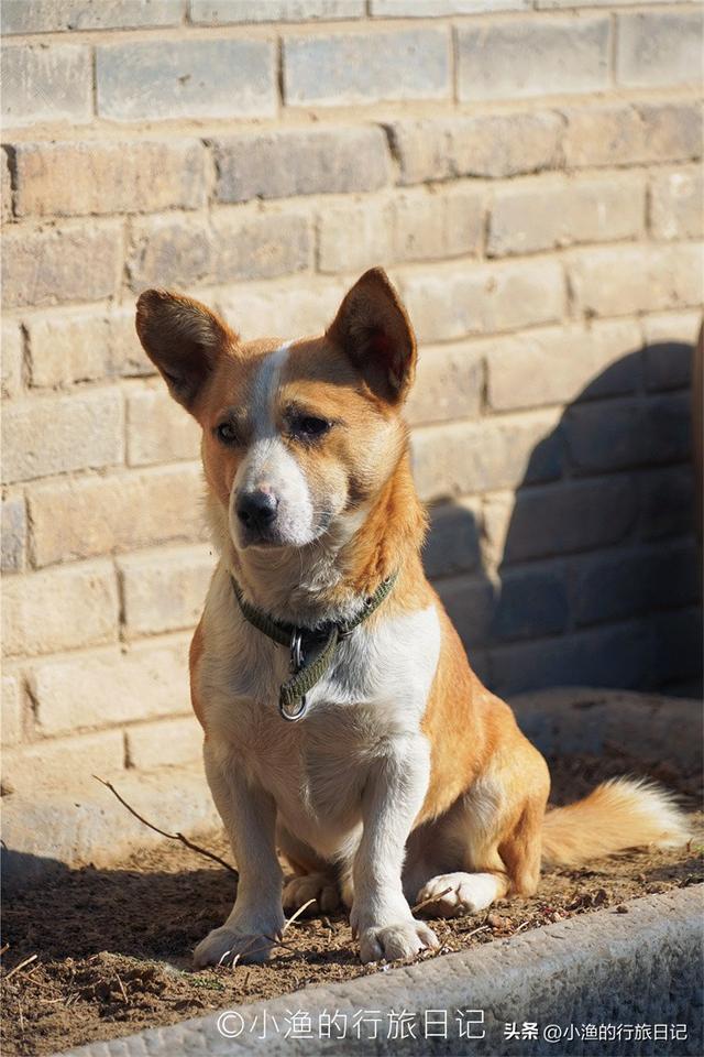 西安人周末计划！2H飙到三省交界，看黄河90°拐弯，有美景有美食