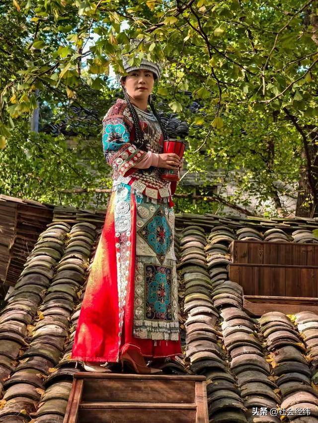 千年银杏染醉腾冲秋——走进“中国银杏第一村”