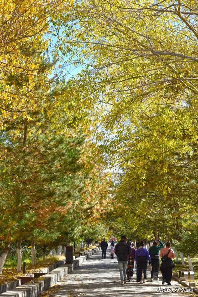 太美了！假如初冬去拉萨，请一定要来这里打卡！